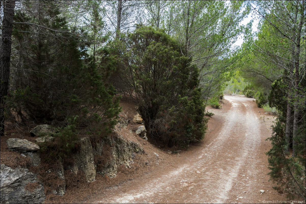 agnes de corona naar sant antoni de portmany